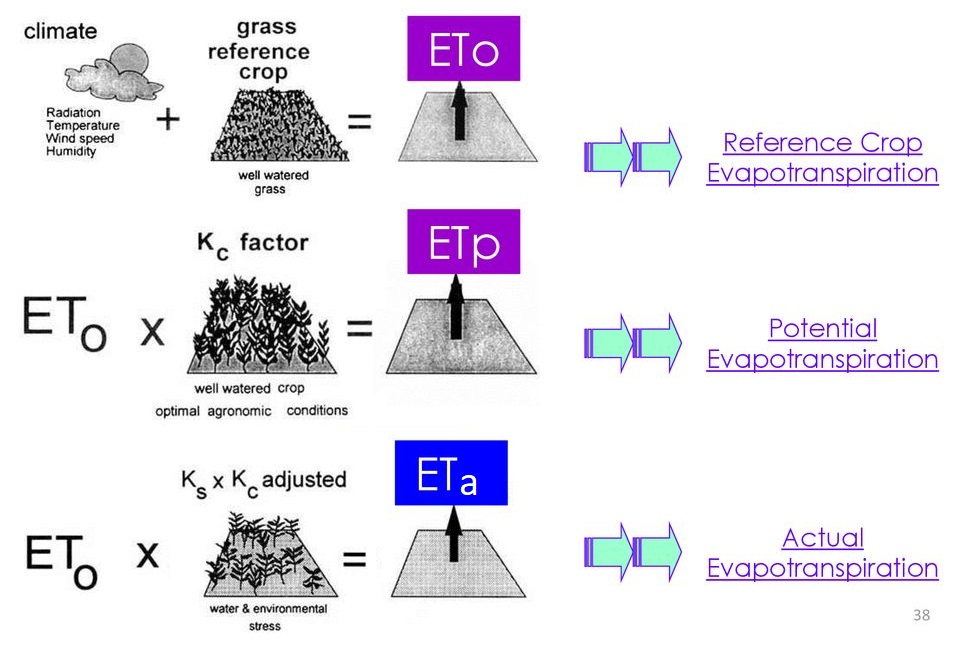 ET types from https://slideplayer.com/slide/16104877/